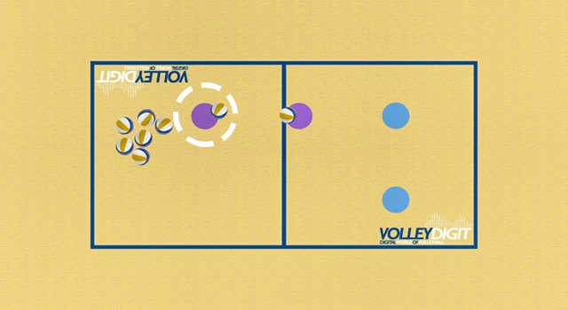 VolleyDigit - Exercise graphic #1