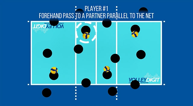 VolleyDigit - Exercise graphic #2