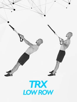 VolleyDigit - TRX Low Row