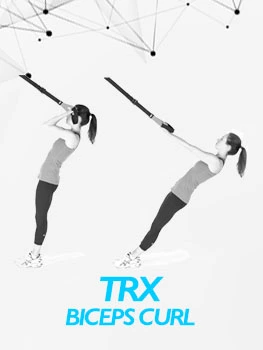 VolleyDigit - TRX Biceps Curl