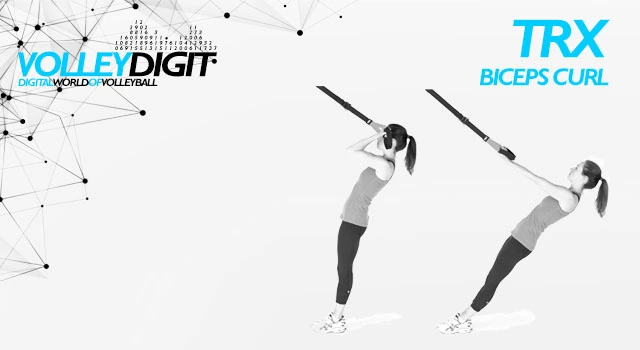 VolleyDigit - TRX BICEPS CURL