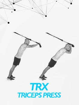VolleyDigit - TRX Triceps Press