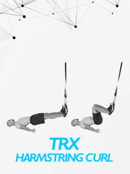 VolleyDigit - TRX Harmstring Curl