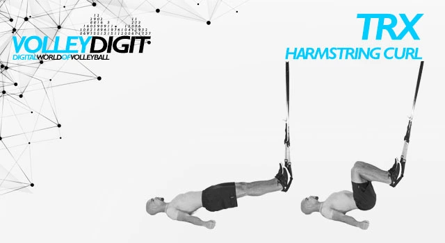 VolleyDigit - TRX HARMSTRING CURL