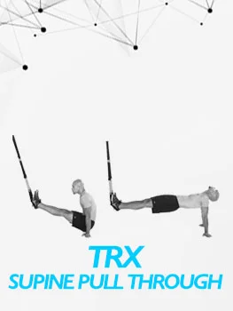 VolleyDigit - TRX Supine Pull Through