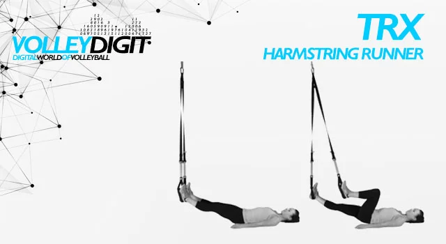 VolleyDigit - TRX HARMSTRING RUNNER