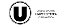 VolleyDigit - U Cluj banner
